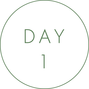 DAY1