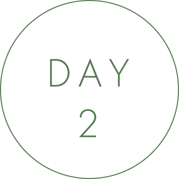 DAY2